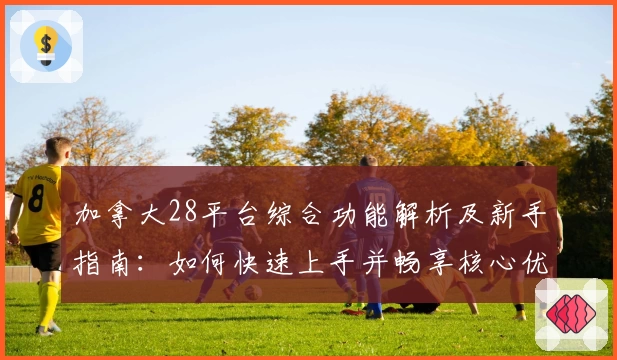 加拿大28平台综合功能解析及新手指南：如何快速上手并畅享核心优势