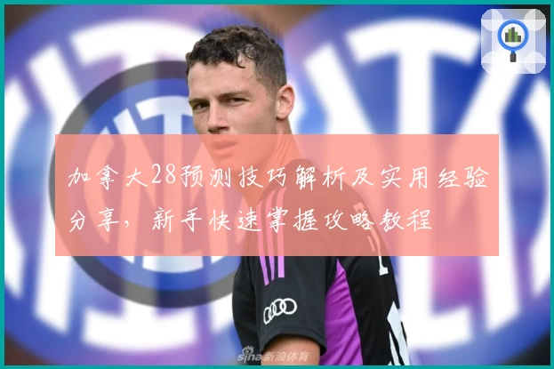 加拿大28预测技巧解析及实用经验分享，新手快速掌握攻略教程
