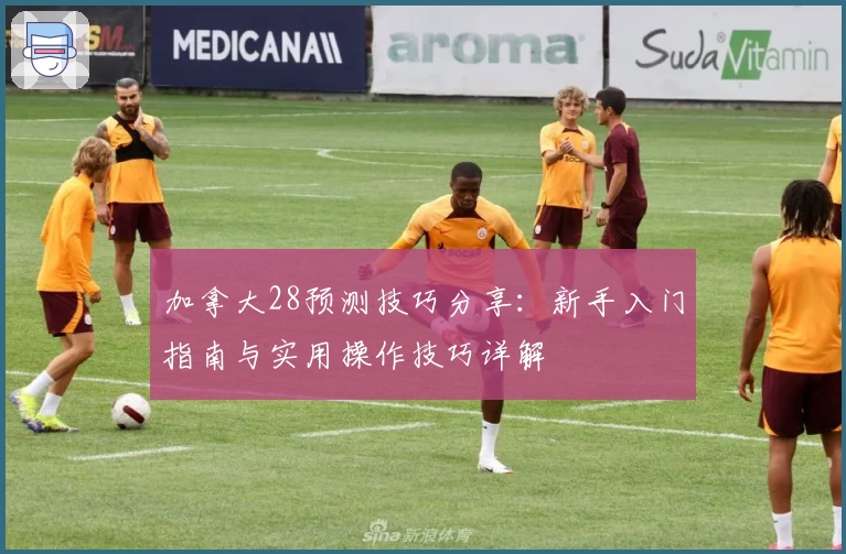 加拿大28预测技巧分享：新手入门指南与实用操作技巧详解