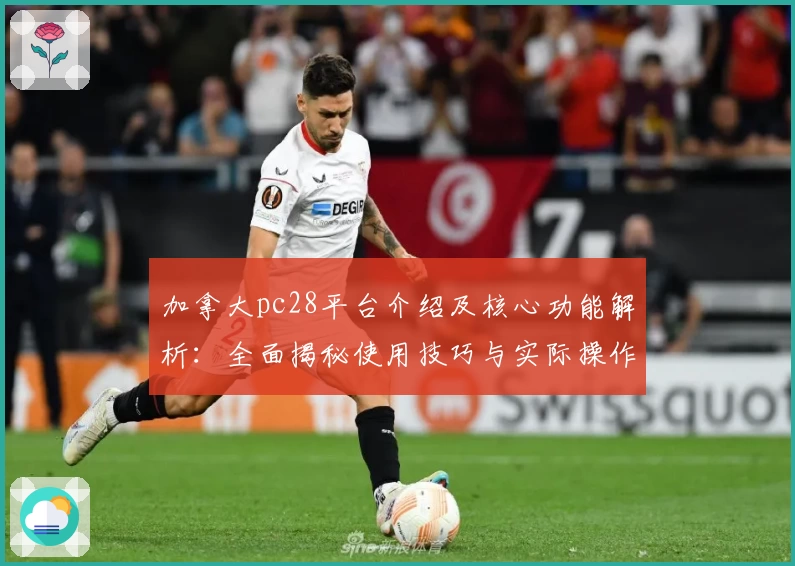 加拿大pc28平台介绍及核心功能解析：全面揭秘使用技巧与实际操作体验