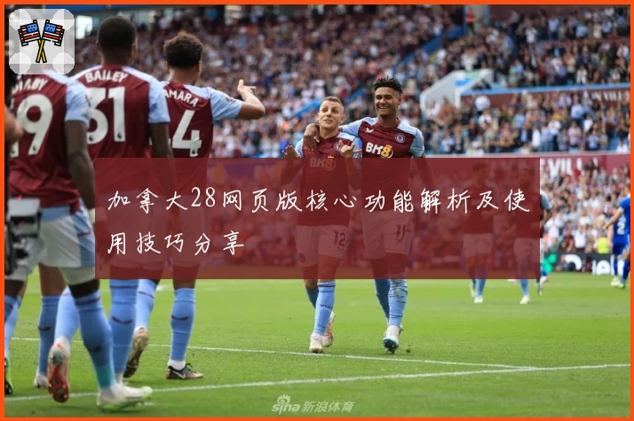 加拿大28网页版核心功能解析及使用技巧分享