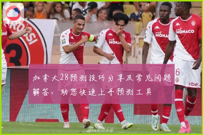 加拿大28预测技巧分享及常见问题解答，助您快速上手预测工具