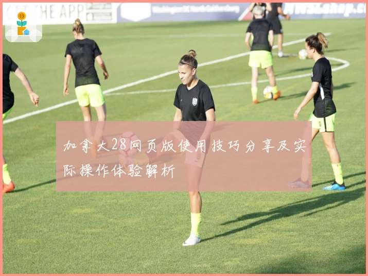 加拿大28网页版使用技巧分享及实际操作体验解析