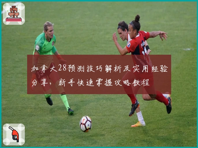 加拿大28预测技巧解析及实用经验分享，新手快速掌握攻略教程