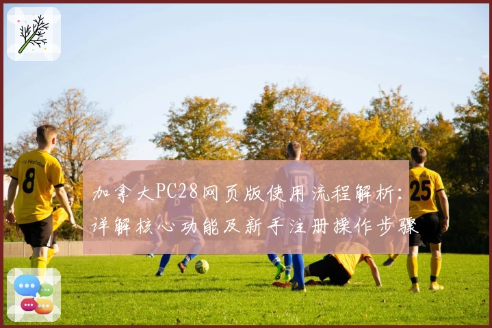 加拿大PC28网页版使用流程解析：详解核心功能及新手注册操作步骤