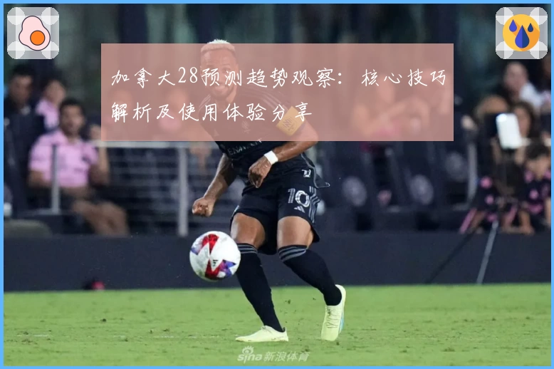 加拿大28预测趋势观察：核心技巧解析及使用体验分享