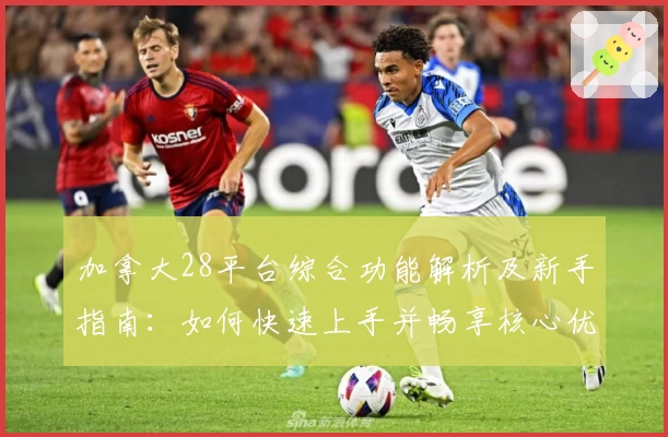 加拿大28平台综合功能解析及新手指南：如何快速上手并畅享核心优势