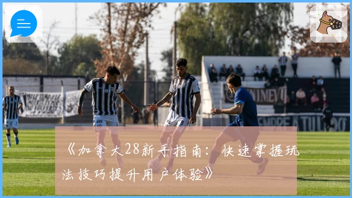 《加拿大28新手指南：快速掌握玩法技巧提升用户体验》