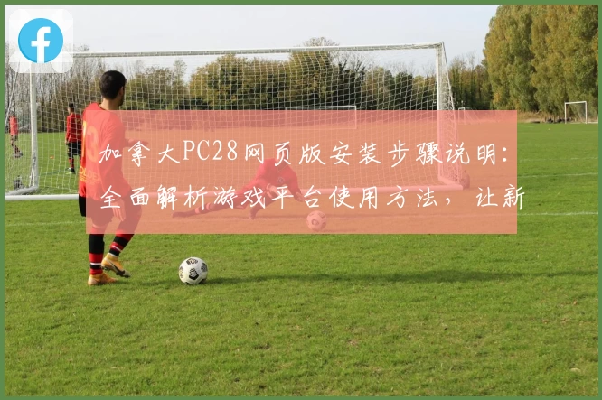 加拿大PC28网页版安装步骤说明：全面解析游戏平台使用方法，让新手轻松上手