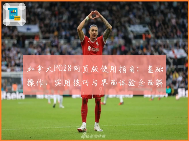 加拿大PC28网页版使用指南：基础操作、实用技巧与界面体验全面解析