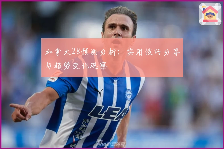 加拿大28预测分析：实用技巧分享与趋势变化观察