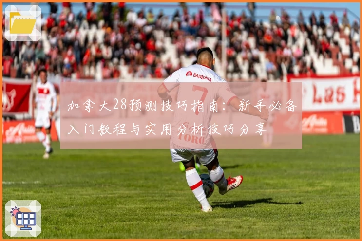 加拿大28预测技巧指南：新手必备入门教程与实用分析技巧分享