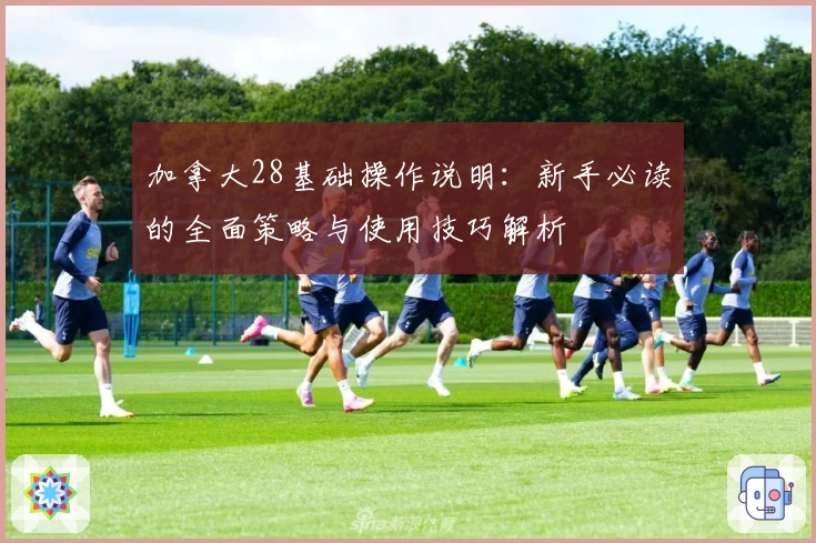 加拿大28基础操作说明：新手必读的全面策略与使用技巧解析