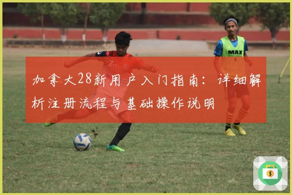 加拿大28新用户入门指南：详细解析注册流程与基础操作说明