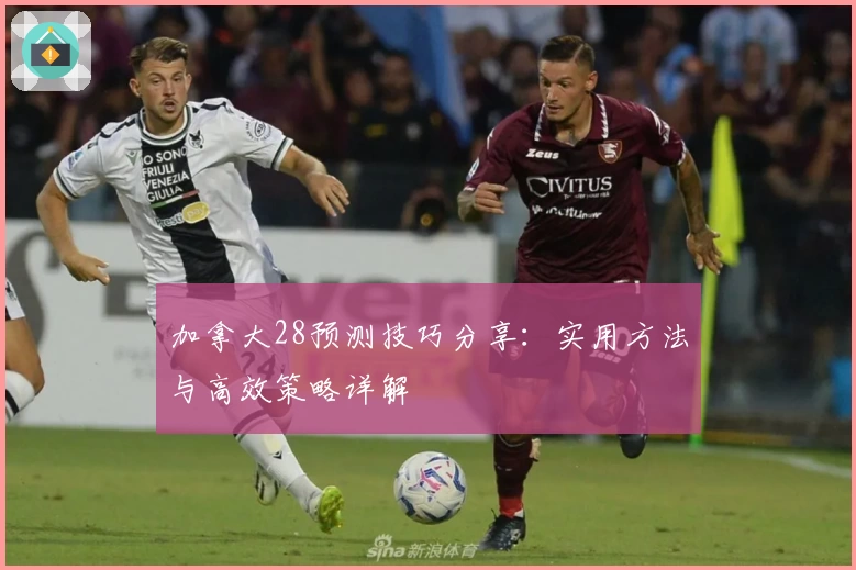 加拿大28预测技巧分享：实用方法与高效策略详解
