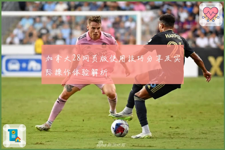 加拿大28网页版使用技巧分享及实际操作体验解析